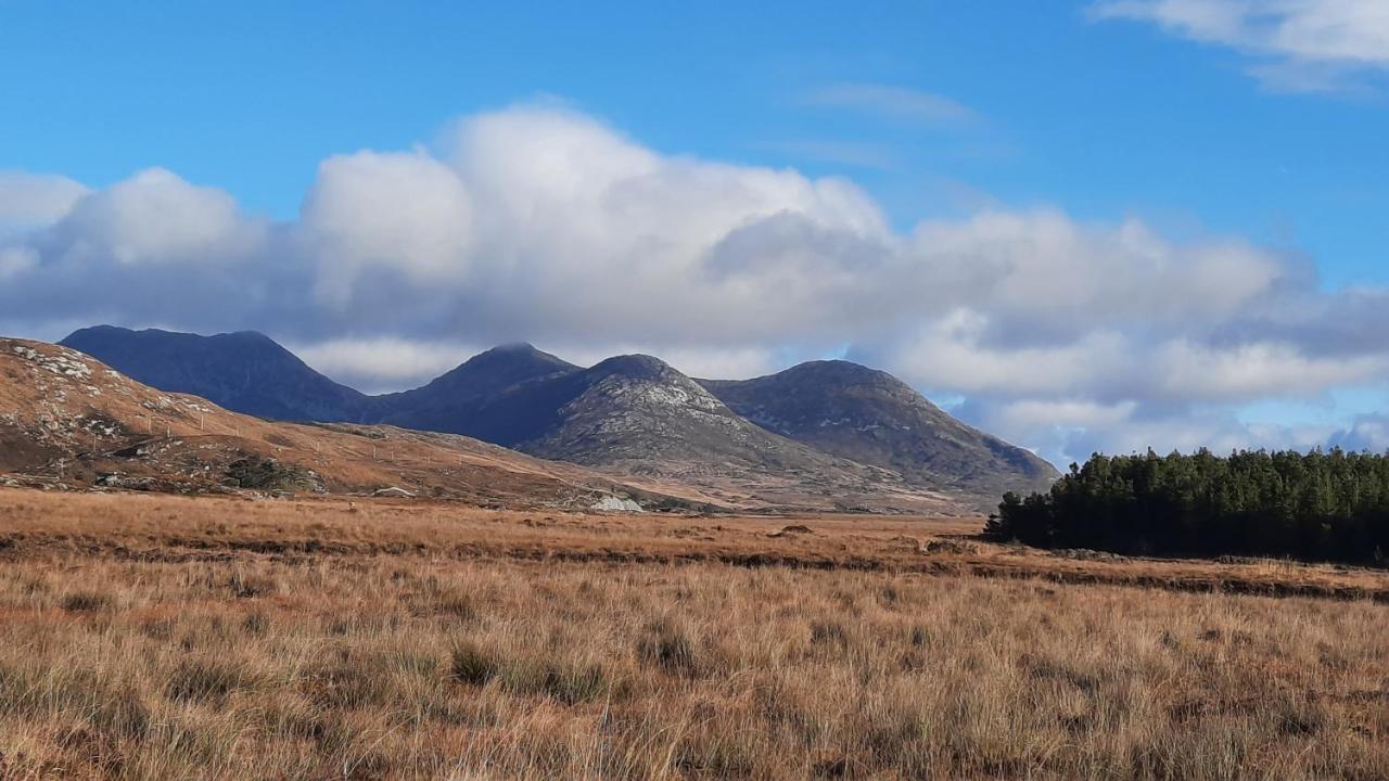 Clifden Wildflower Cottage - Clifden Countryside Lettings Buitenkant foto