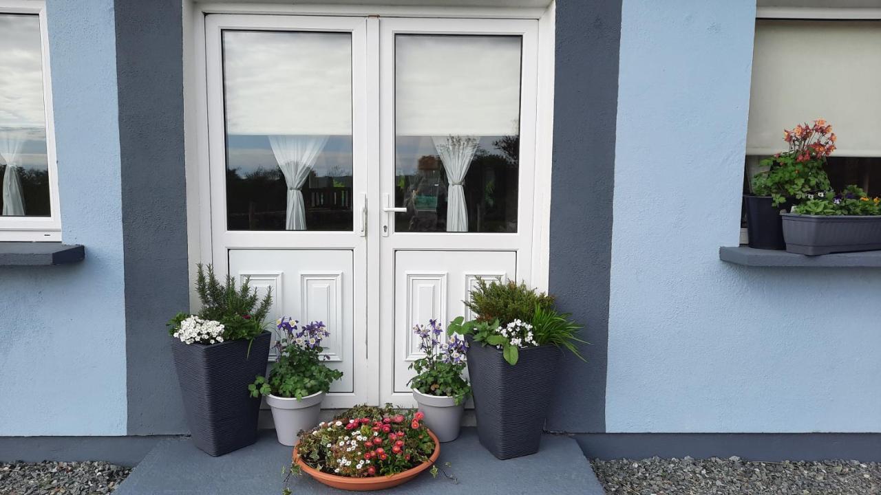 Clifden Wildflower Cottage - Clifden Countryside Lettings Buitenkant foto