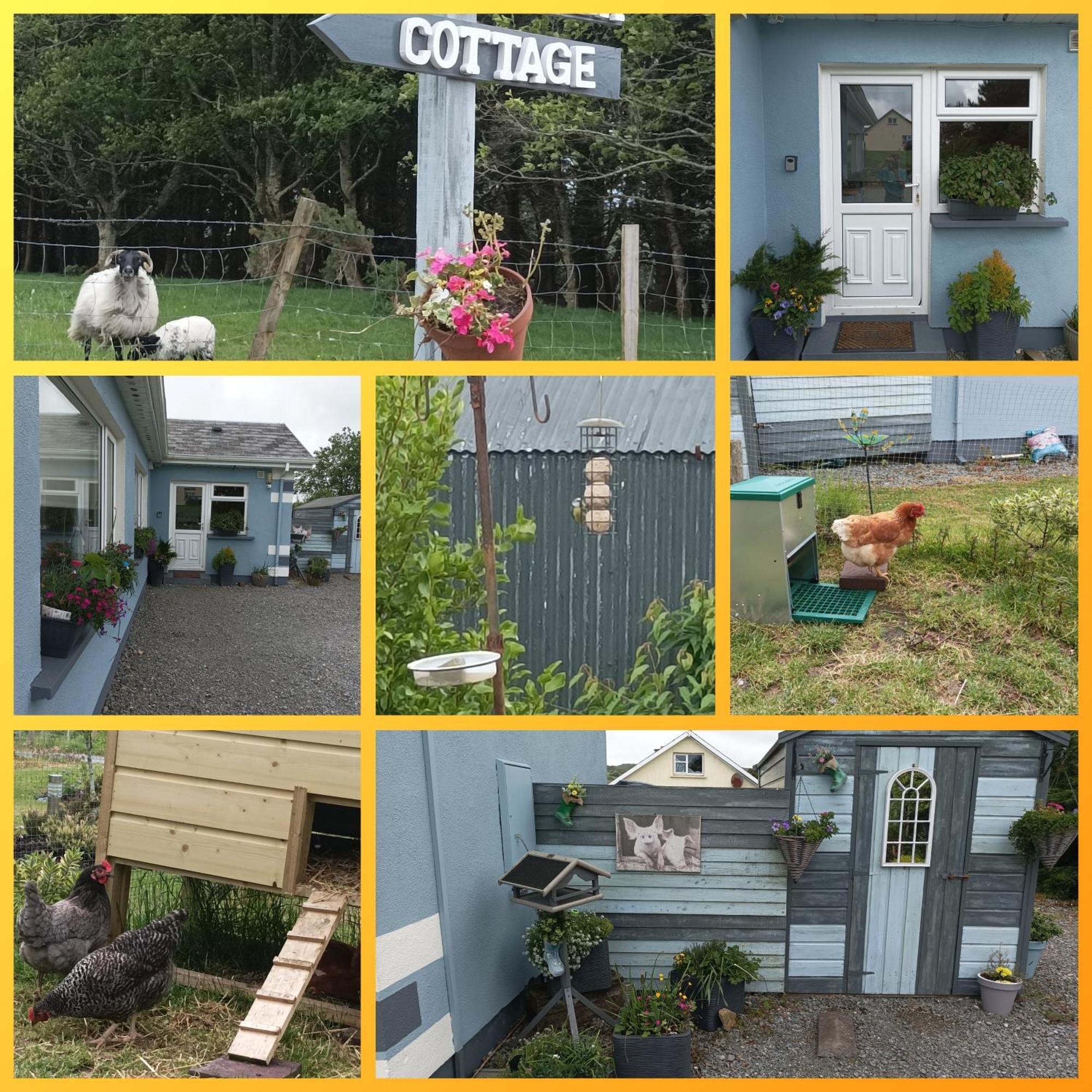 Clifden Wildflower Cottage - Clifden Countryside Lettings Buitenkant foto