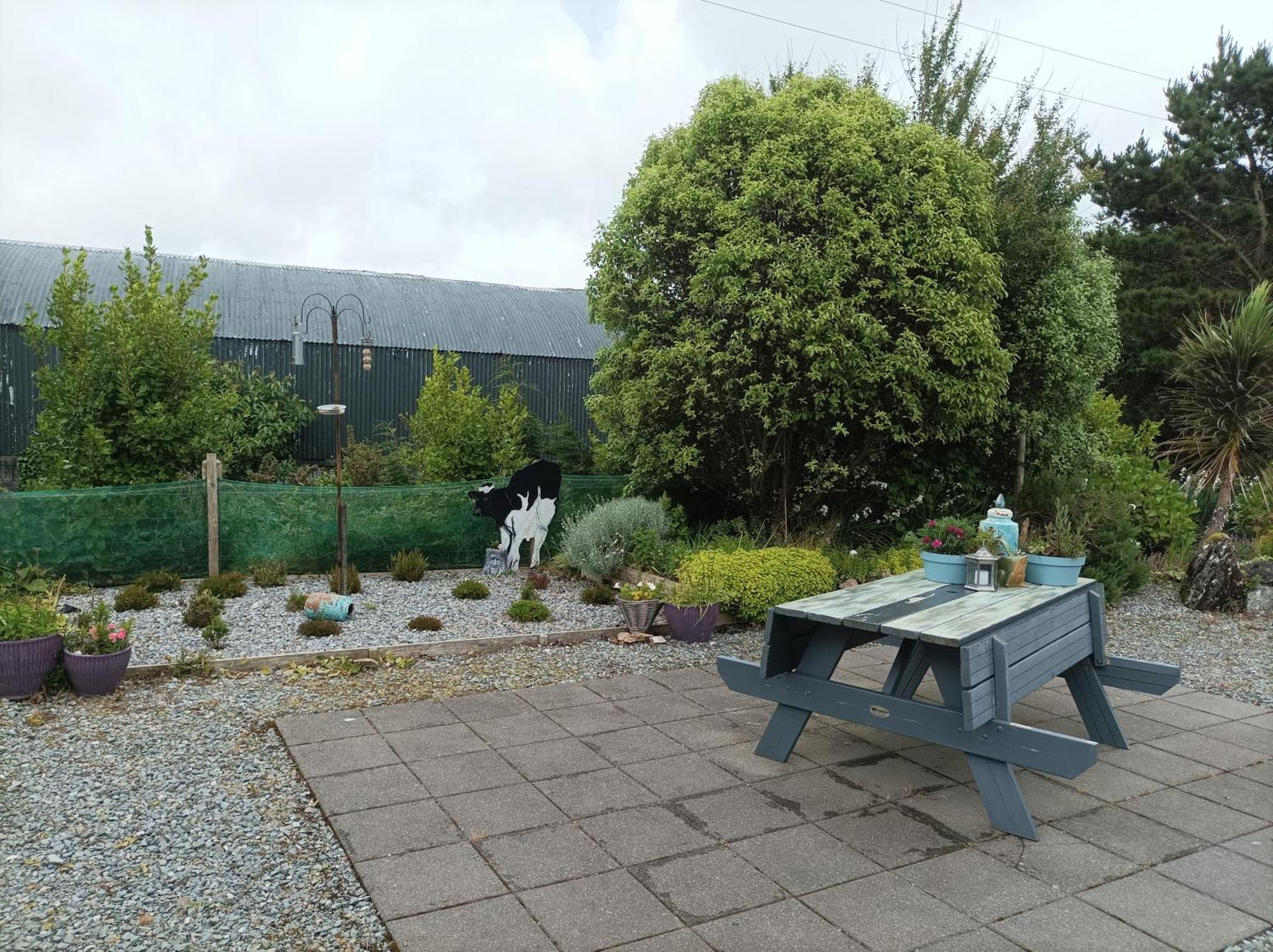 Clifden Wildflower Cottage - Clifden Countryside Lettings Buitenkant foto